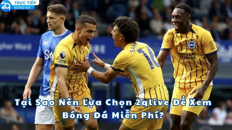 2qlive-la-gi-2