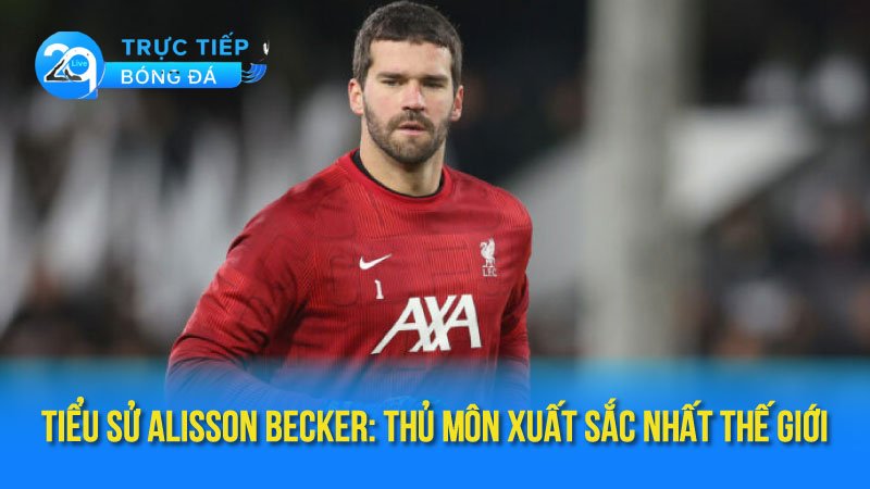 tieu-su-alisson-becker-3