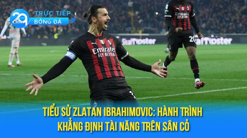 tieu-su-zlatan-ibrahimovic-2