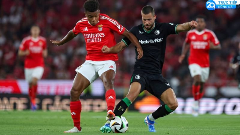 soi-keo-benfica-vs-feyenoord-2