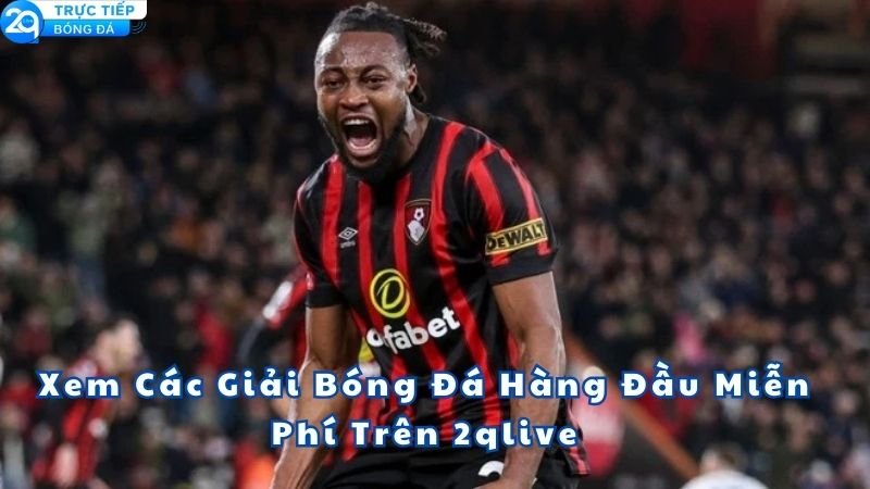 trang-live-the-thao-2qlive-1
