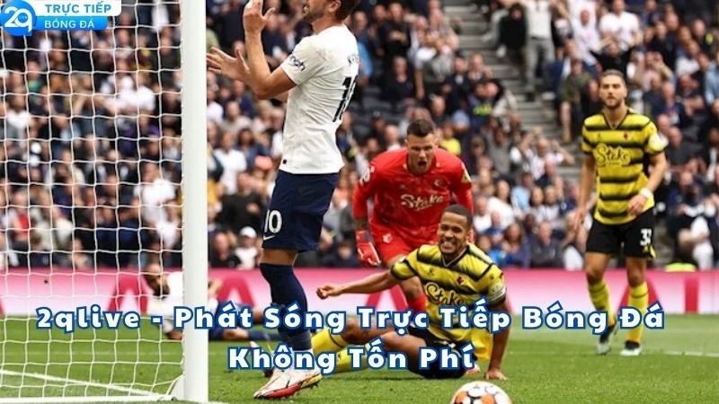 xem-bong-da-mien-phi-2qlive-1