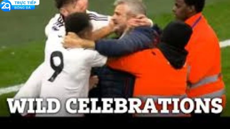 fan-fulham-1