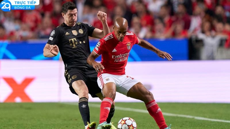 soi-keo-bayern-vs-benfica-1