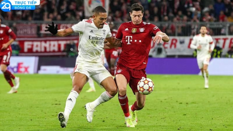 soi-keo-bayern-vs-benfica-2