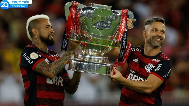 brazil-copa-2